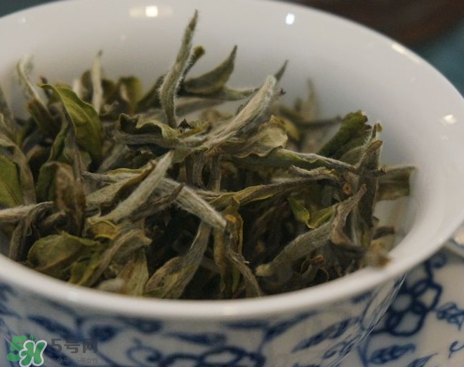 白茶需要洗茶嗎？白茶是洗還是不洗？
