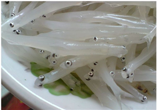 銀魚怎么保存？銀魚可以放在冰箱冷凍保存嗎？