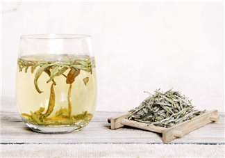 白毫銀針屬于綠茶嗎？白毫銀針是什么茶？