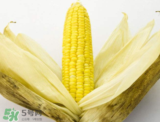 九月份能種玉米嗎？玉米九月份還可以種嗎？