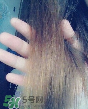 摩洛哥護(hù)發(fā)精油是哪個國家的？摩洛哥護(hù)發(fā)精油孕婦能用嗎