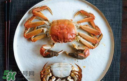 啤酒蒸大閘蟹好吃嗎？啤酒蒸大閘蟹怎么吃？