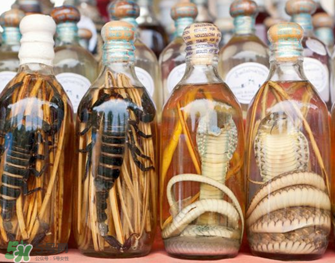 毒蛇泡酒有毒嗎？毒蛇泡酒能喝嗎？