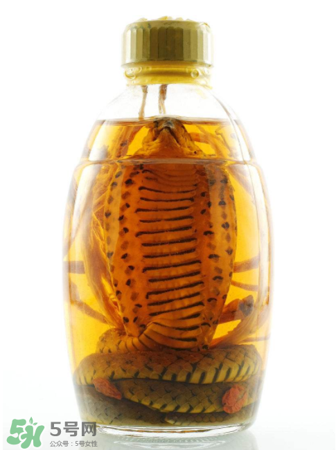 毒蛇泡酒有毒嗎？毒蛇泡酒能喝嗎？