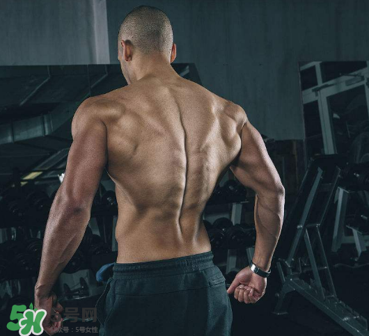龍門架怎么練背？龍門架練背動作推薦