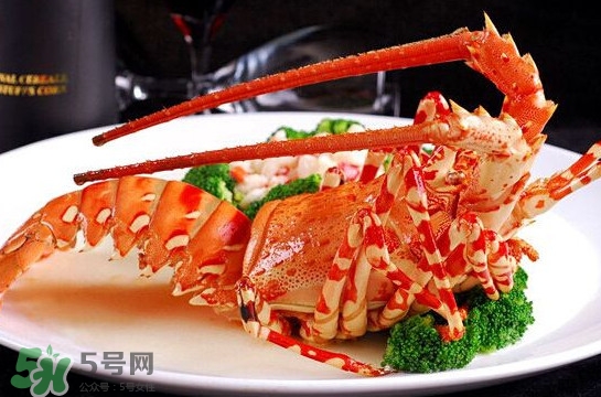 中華錦繡龍蝦可以養(yǎng)殖嗎？中華錦繡龍蝦有毒嗎