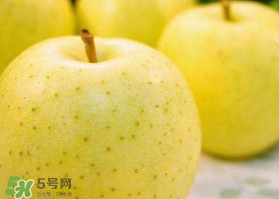 王林蘋果什么時(shí)候成熟？王林蘋果的營養(yǎng)價(jià)值