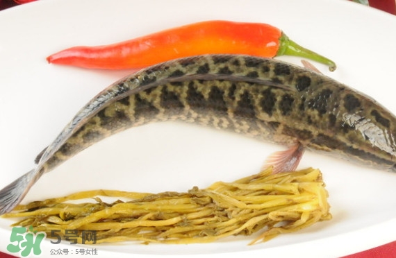 黑魚(yú)和草魚(yú)哪個(gè)好吃？黑魚(yú)不適合什么人吃