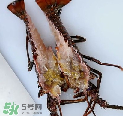 4斤的波士頓龍蝦多少錢？波士頓龍蝦怎么處理