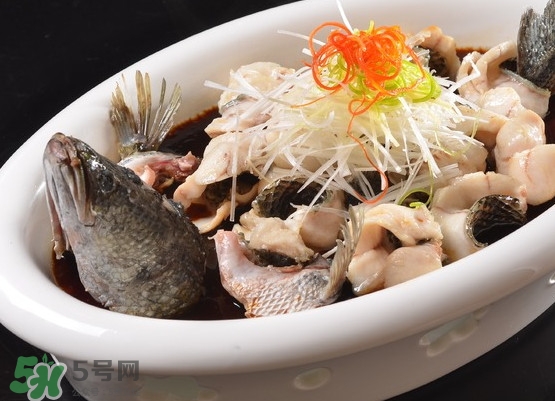黑魚(yú)怎么殺不滑？黑魚(yú)為什么又被叫做財(cái)魚(yú)