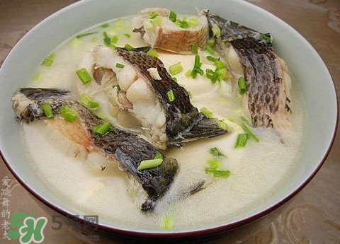 黑魚湯是發(fā)物嗎？黑魚湯可以放香菇嗎