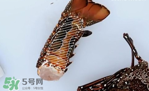波士頓龍蝦產(chǎn)自波士頓嗎？波士頓龍蝦是哪里的