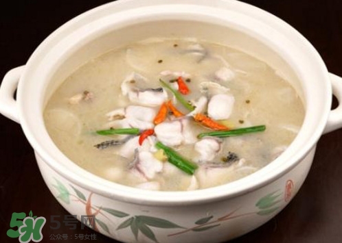 黑魚湯下奶嗎？黑魚湯是下奶還是回奶