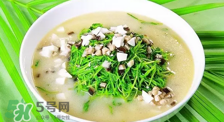 秋季養(yǎng)生吃什么？秋季養(yǎng)生湯推薦