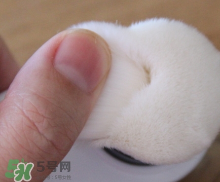 neogen妮珍面膜怎么樣？冷門性價比高的面膜