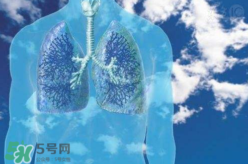 秋季如何護(hù)肺？秋季護(hù)肺小妙招