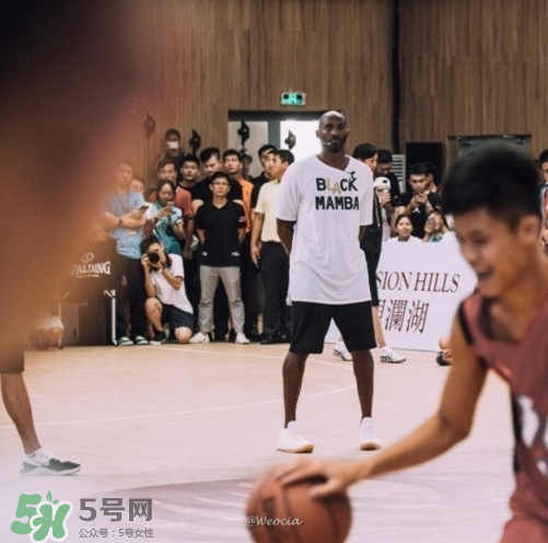 nike kobe ad mid baseline什么時(shí)候發(fā)售_多少錢？