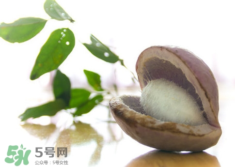 八月瓜可以泡酒嗎？八月瓜可以治乙肝嗎