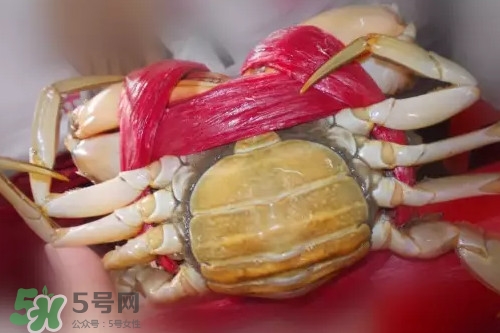 黃油蟹是海蟹嗎？黃油蟹是如何進(jìn)化的