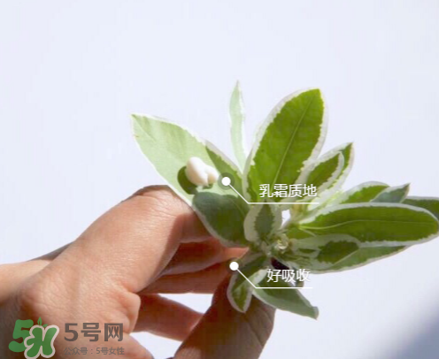 城野醫(yī)生377有副作用嗎？城野醫(yī)生377用了臉癢是什么原因？
