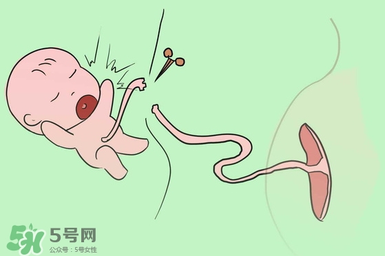 寶寶臍帶什么時(shí)候脫落？寶寶臍帶脫落后怎么護(hù)理？