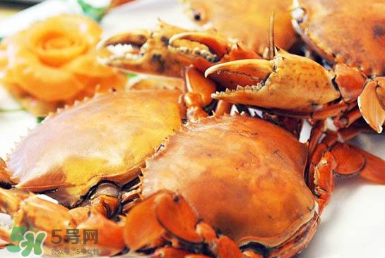 黃油蟹是什么蟹？黃油蟹多少錢一只