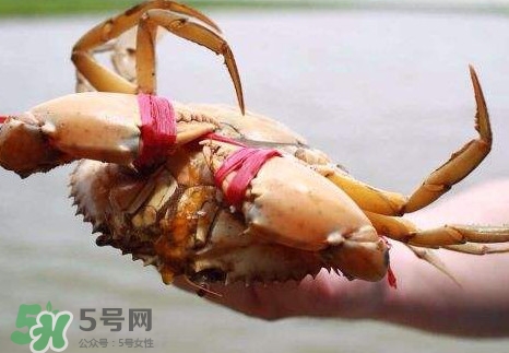 黃油蟹的選蟹標準是什么？黃油蟹的等級分類