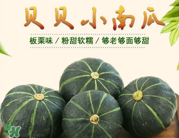 貝貝南瓜蒸多久能吃？貝貝南瓜和普通南瓜有什么區(qū)別