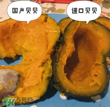 貝貝南瓜怎么挑選？貝貝南瓜有假的嗎