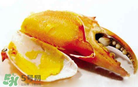 黃油蟹怎么保存？黃油蟹的營養(yǎng)價值
