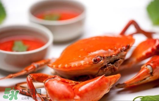黃油蟹是海蟹嗎？黃油蟹是如何進(jìn)化的
