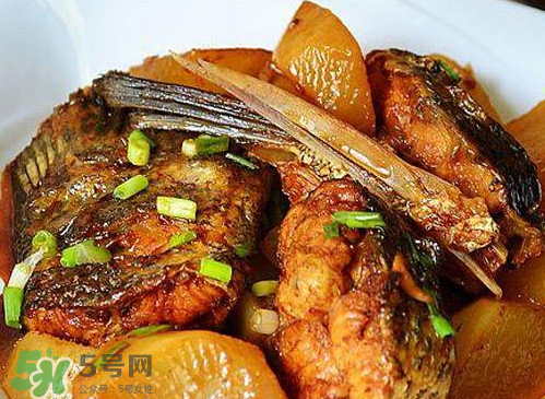 鱸魚可以紅燒嗎？鱸魚清蒸還是紅燒好吃？