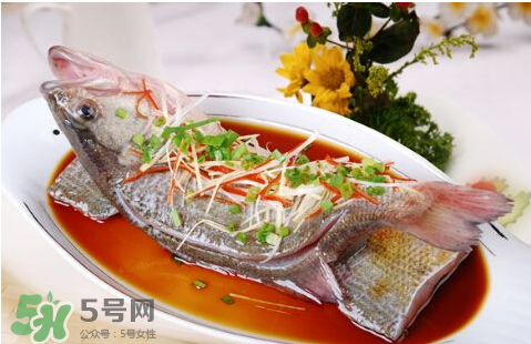 鱸魚(yú)為什么沒(méi)有刺？鱸魚(yú)為什么刺少？