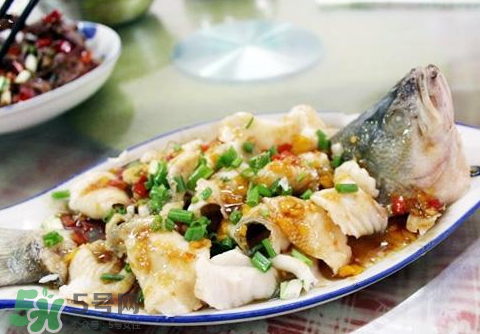 鱸魚(yú)為什么沒(méi)有刺？鱸魚(yú)為什么刺少？