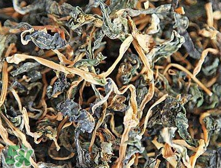 梅干菜有醬油嗎？梅干菜有營(yíng)養(yǎng)嗎