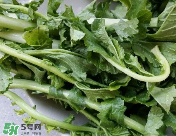 蘿卜纓能吃嗎？蘿卜纓怎么做好吃