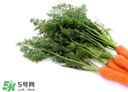 蘿卜纓能吃嗎？蘿卜纓怎么做好吃