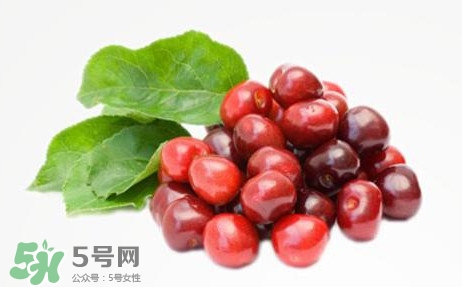 蔓越莓什么時候成熟？蔓越莓什么時候吃最好