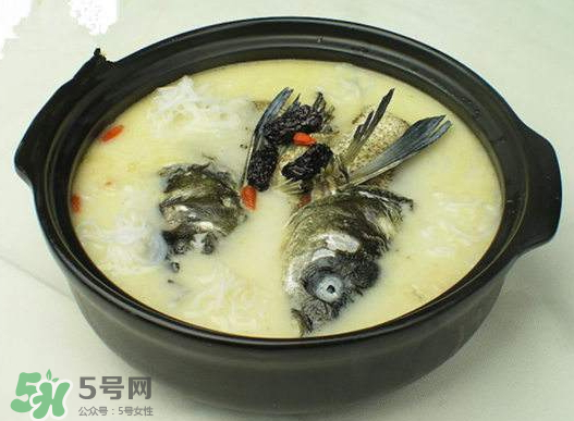 鯉魚(yú)湯怎么做好吃？鯉魚(yú)湯里面可以放什么？