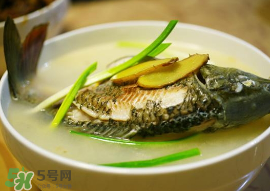 鯉魚(yú)湯怎么做好吃？鯉魚(yú)湯里面可以放什么？