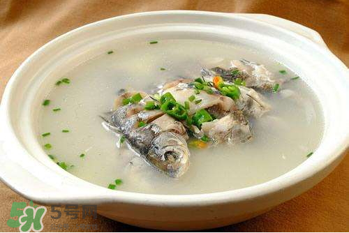 鯽魚湯下奶嗎？鯽魚湯的功效與作用