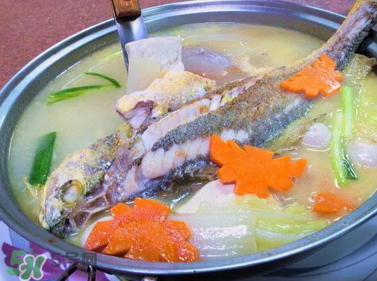 黃魚湯怎么做好吃？黃魚湯的營養(yǎng)價值