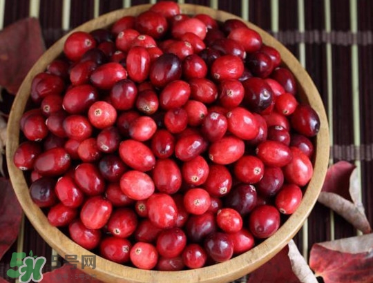 蔓越莓什么時候成熟？蔓越莓什么時候吃最好