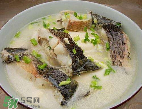 黑魚湯對傷口有好處嗎？黑魚湯的做法術(shù)后恢復(fù)