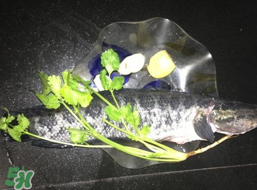 黑魚湯對傷口有好處嗎？黑魚湯的做法術(shù)后恢復(fù)