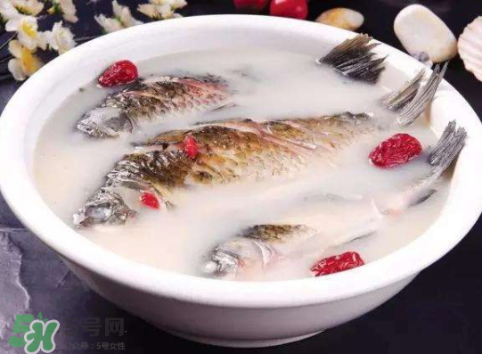 鯽魚湯里可以放什么菜最好？鯽魚燉湯放什么菜？