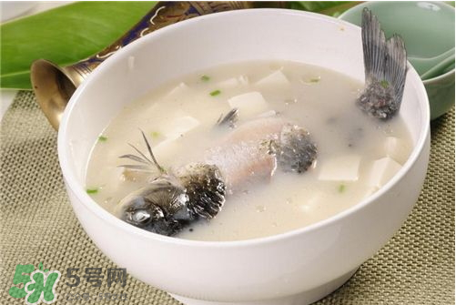 喝鯽魚湯會(huì)胖嗎？鯽魚湯可以經(jīng)常喝嗎？