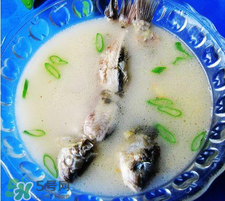 鯽魚湯可以放牛奶嗎？牛奶鯽魚湯的做法