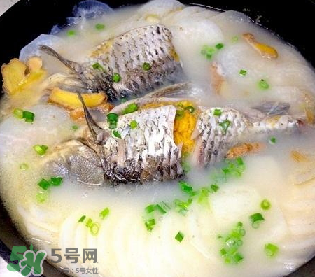 鯽魚湯可以放牛奶嗎？牛奶鯽魚湯的做法