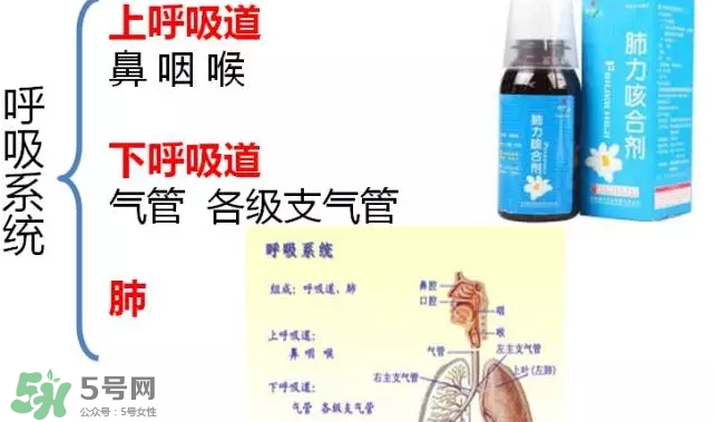 肺力咳合劑怎么服用_說(shuō)明書